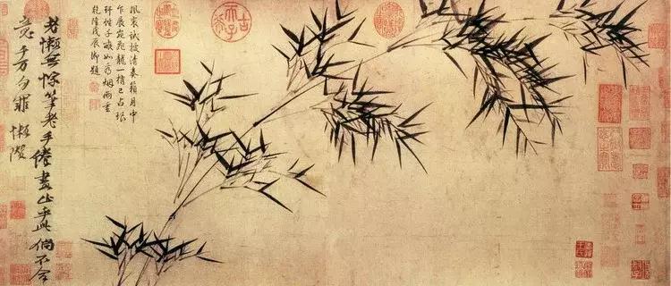 郑板桥画的是什么品种竹子,郑板桥画的横幅竹子
