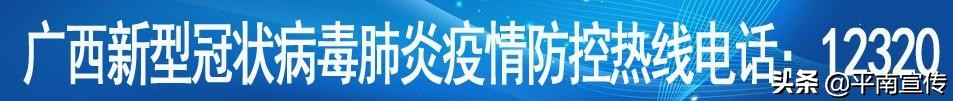 平南疫情志愿者,平南县疫情志愿者