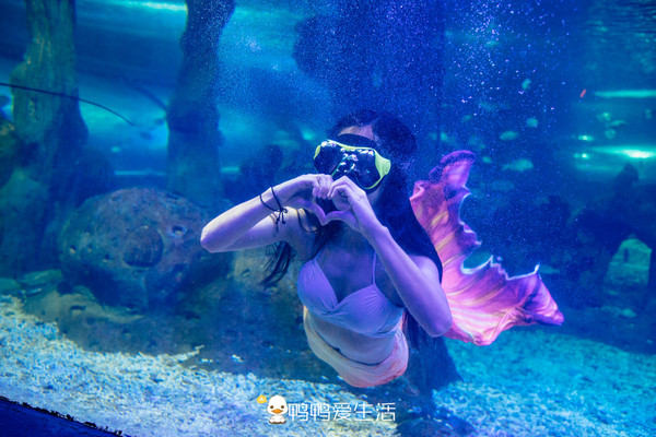 全国唯一真实大海做背景，福建海边这艘“船”里面藏海洋世界！