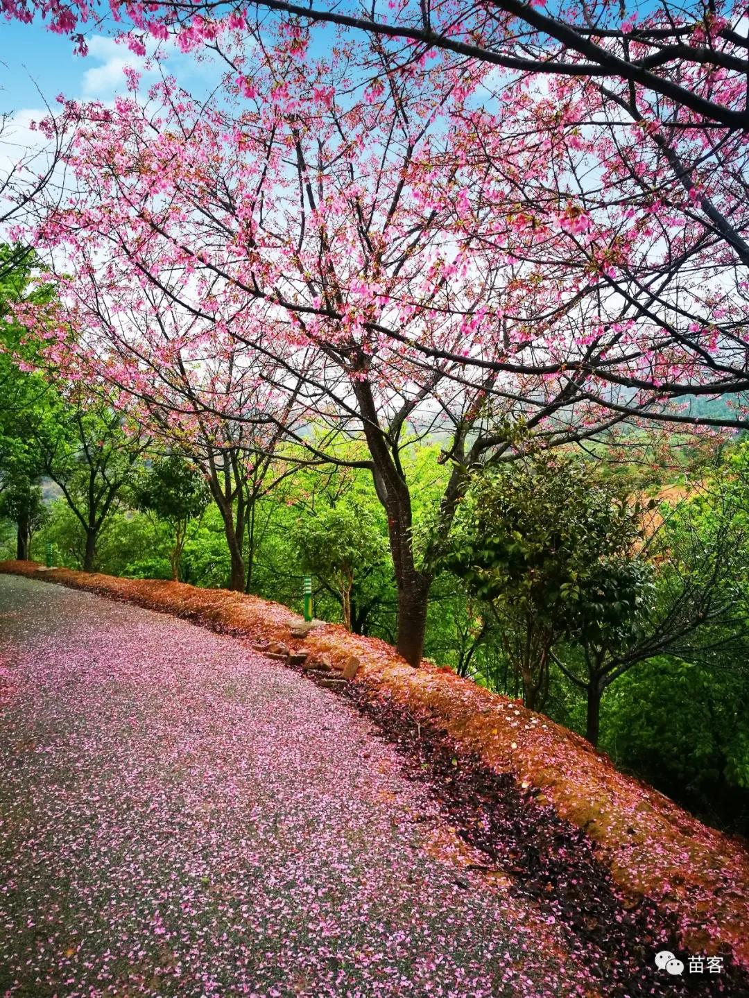 微时光田东,微时光美好生活