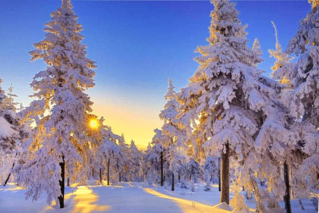 数九寒天从哪天开始数,数九寒天数九是从哪个季节开始的