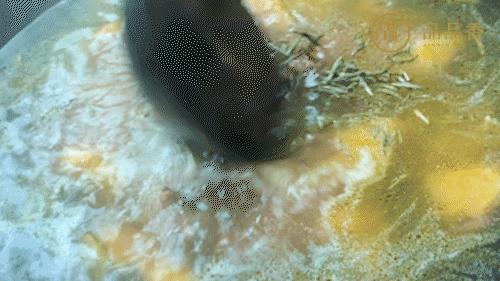 福鼎白茶还有“十不采”规定？让我们去河山有机茶园一探究竟