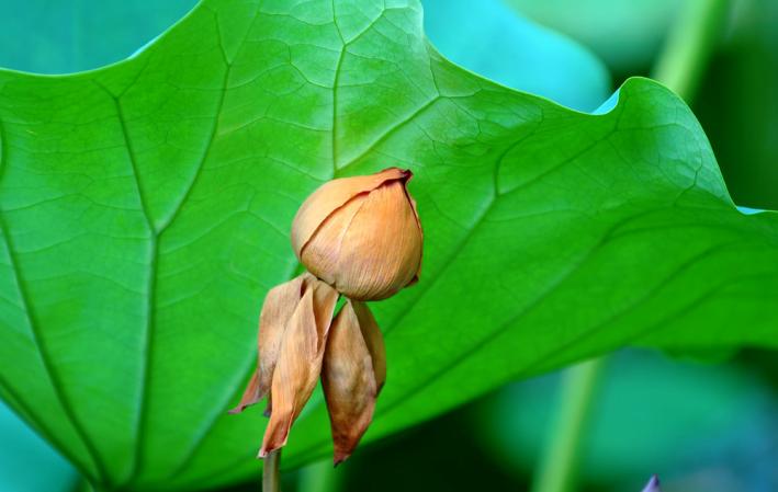 期货交易的安全,期货市场上的信号值得警惕