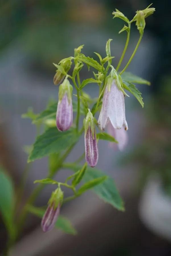 做好这三点你才能成事,做好这三点淡斑效果翻倍
