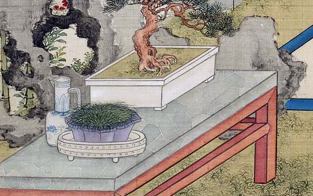菖蒲：神仙之仙草，文人之雅草。