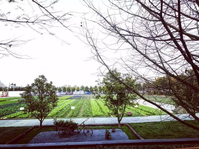 成都多利农庄：如何解决土地、资金、产业、三农问题