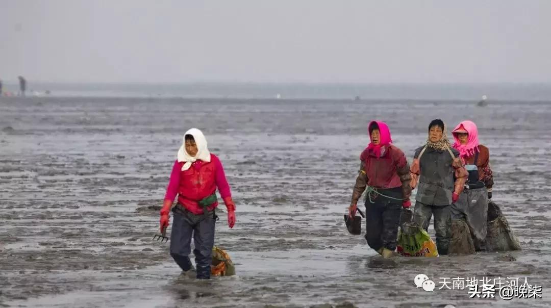 大连庄河赶海排名第一名,庄河赶海网红视频