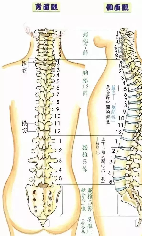 不练腿对力量的影响,不站桩就练不出功夫吗
