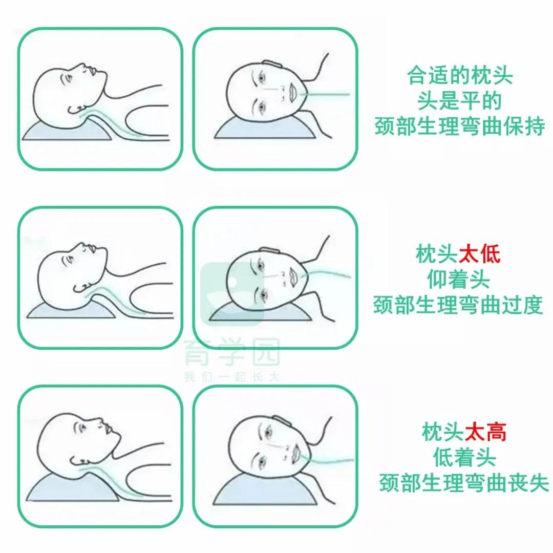孩子正处在生长发育的阶段,1到3岁宝宝生长发育要注重什么