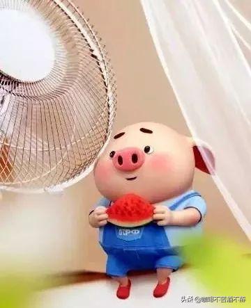 笑话胖子的视频,纹身变胖的笑话