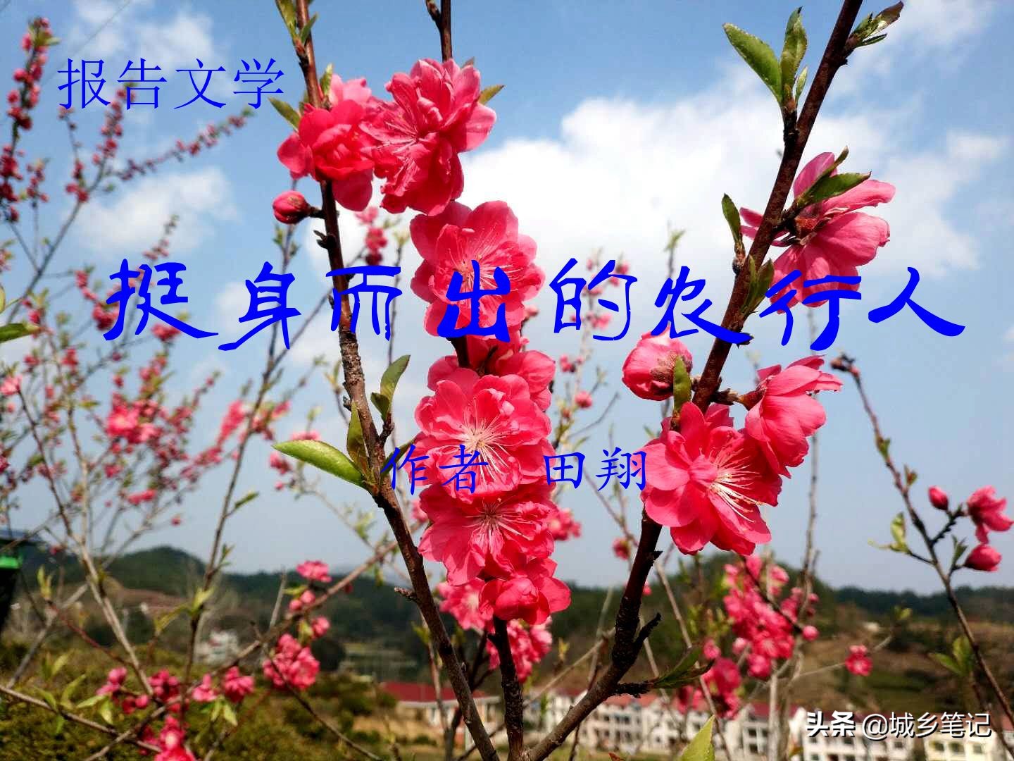 田翔｜报告文学：挺身而出的农行人