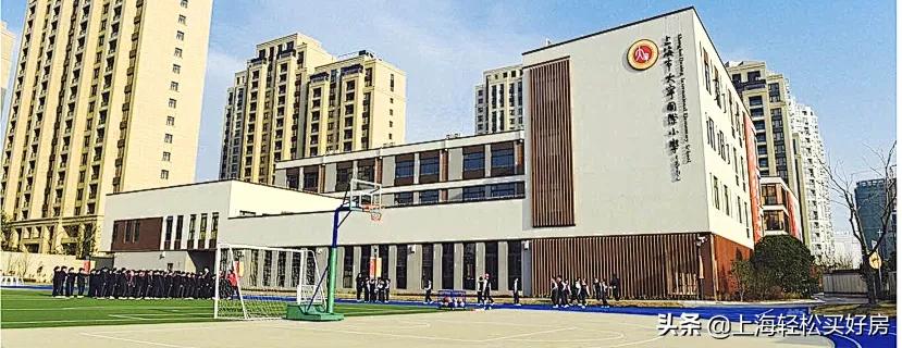 上海民办小学入学要求是什么,上海全市招生的民办小学