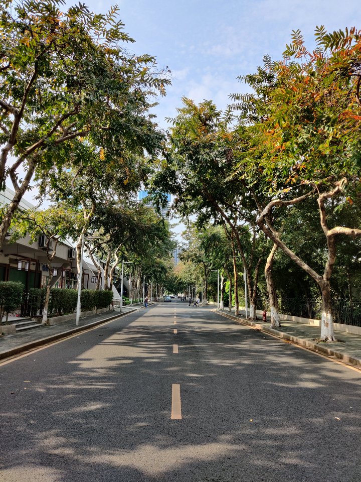 一加8评测小米,一加8测评游戏