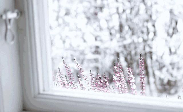 陈宝璐散文人生风景在路上,陈宝璐散文作家照片