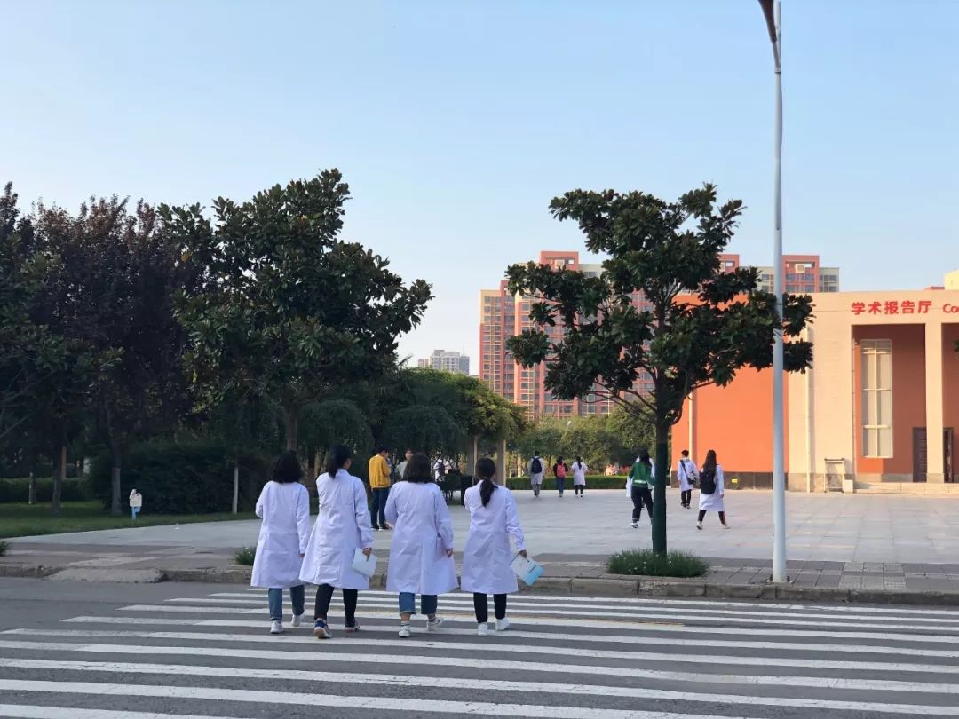 西安三大巨头,西安三巨头学校