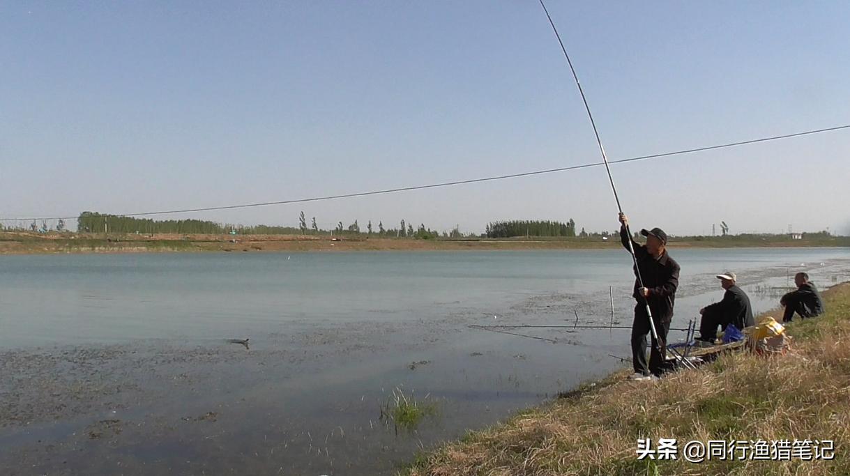 蚯蚓的正确挂法及使用方法,朝天钩挂蚯蚓牢固