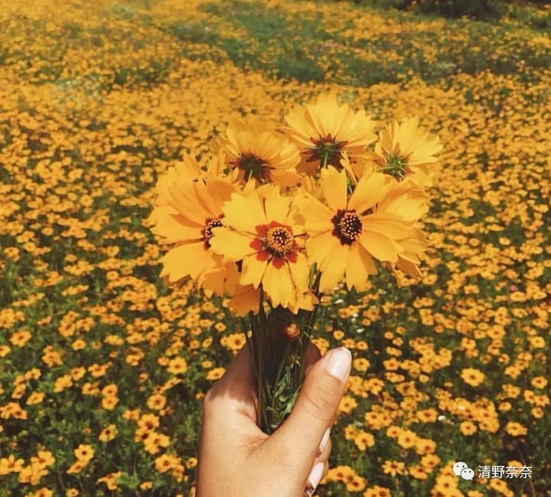 爱折腾头发的人怎么办,新手染发泡泡染发剂