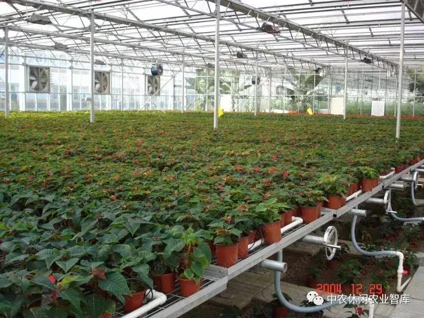 农业创意设计,创意农业功能