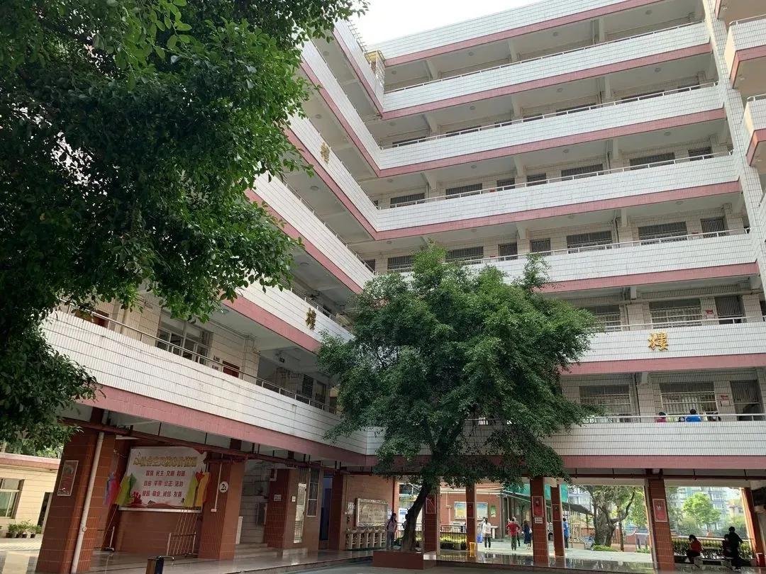 越秀区小学升初中派位,越秀区小升初派位公布