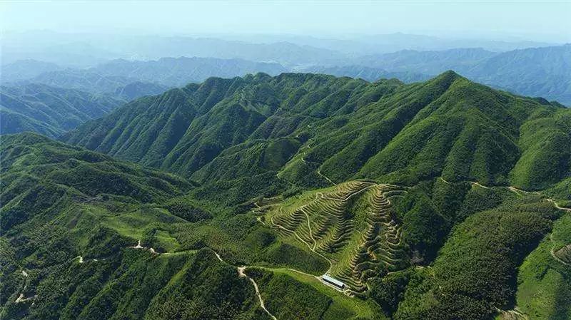 鑼楄竟璇磋尪,鑼楄竟