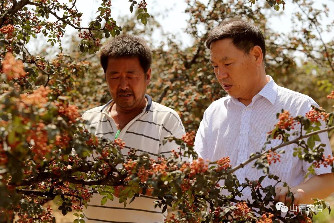 运城日报头条新闻,运城日报最新报道