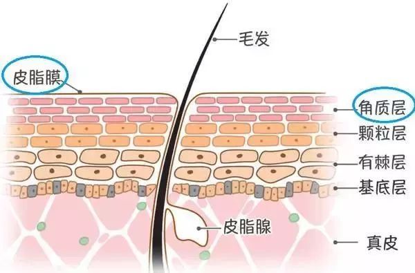 皮肤瘙痒别大意科普视频,春季皮肤瘙痒怎么回事