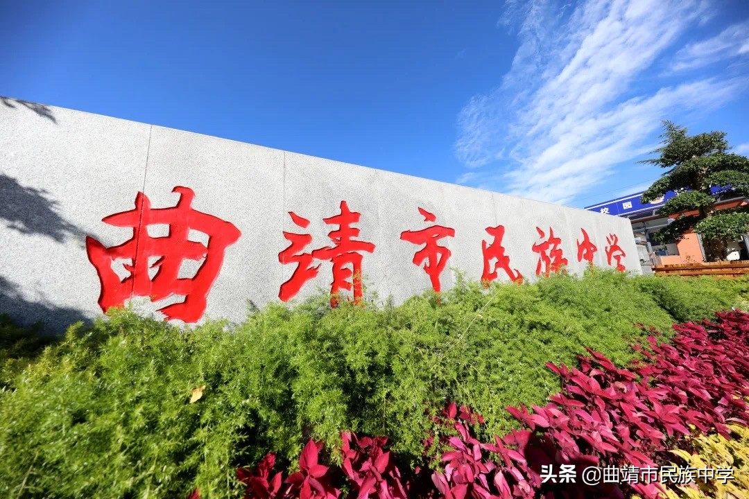 奋斗驱萧索不负少年时出自哪里,奋斗驱萧索不负少年时的出处