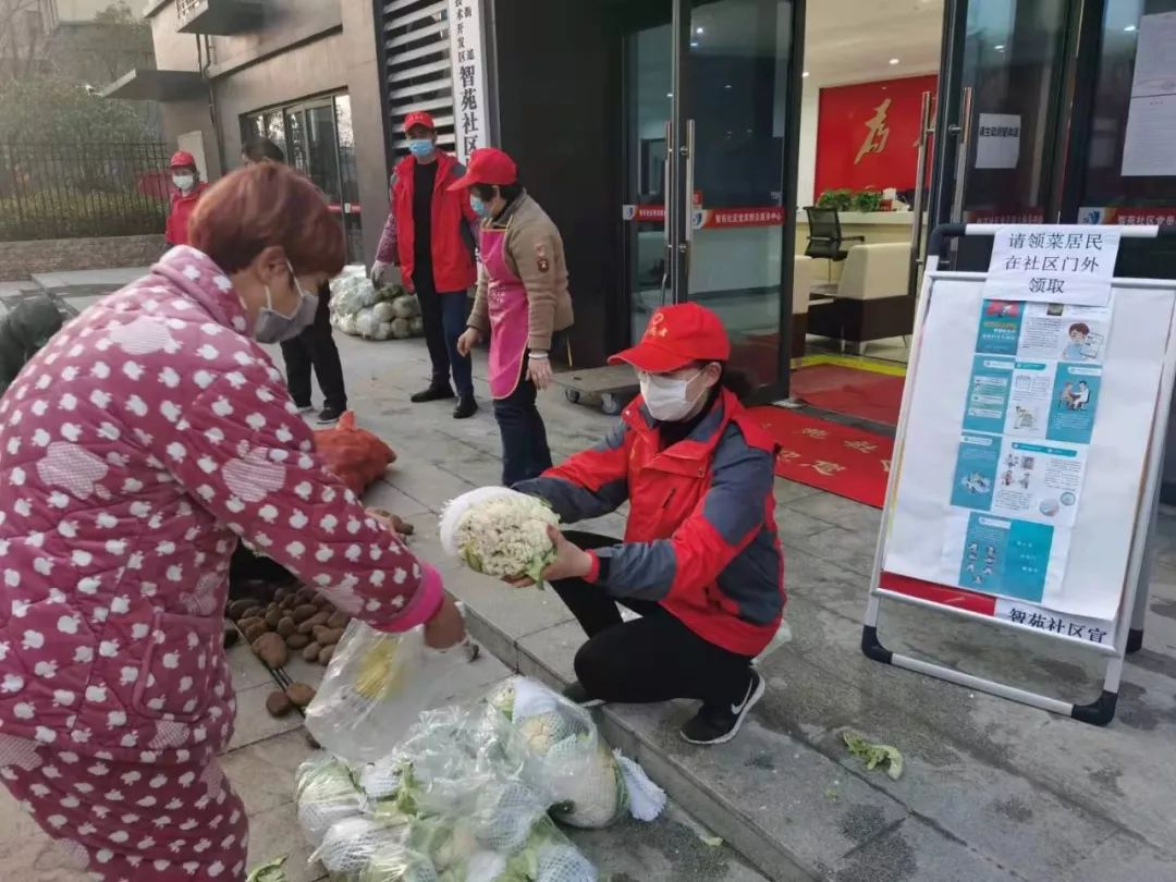 18吨爱心蔬菜千里驰援武汉,山东一菜农向武汉捐赠200吨白菜