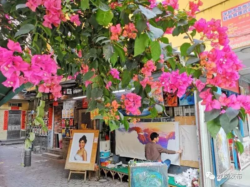 春天该很好，倘若你在场！龙岗最“花心”的地方是……