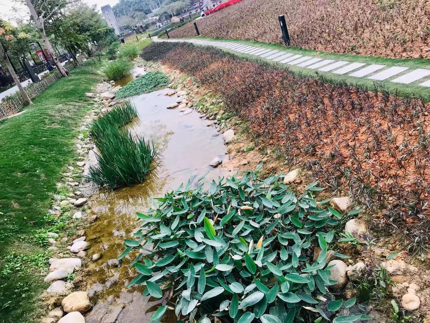 深圳观澜版画村的位置,观澜版画村还是版画基地