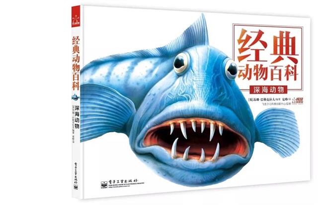 3岁孩子学启蒙教育,3岁小朋友科普知识
