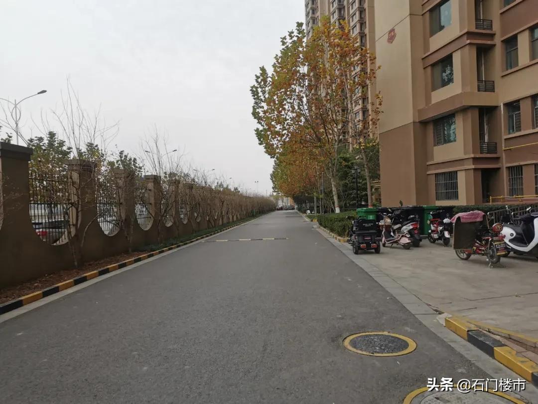 近30天逾350人看房！洋味足却有bug！中介说：采光不太好