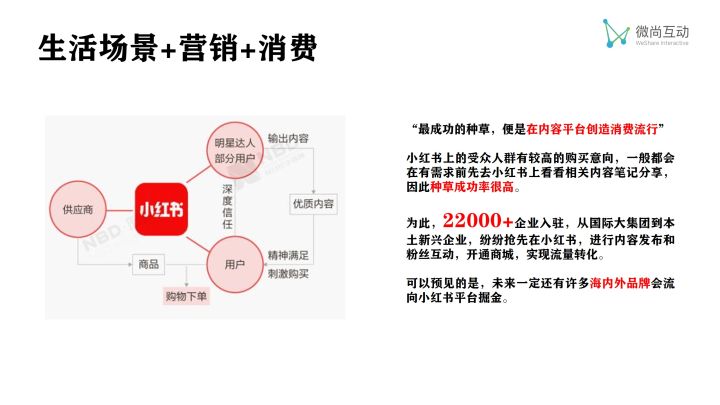 小红书推广多少钱一个,小红书推广费用一般多久结算