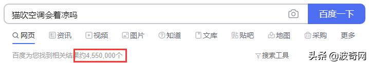 突然养猫了很焦虑,自从接了一只猫回家