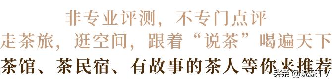 福鼎白茶还有“十不采”规定？让我们去河山有机茶园一探究竟
