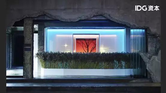 江小白阿芙Roseonly的底层方*论法**