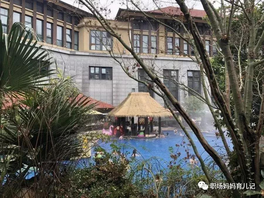 冬天临安湍口温泉游玩攻略,临安天目山风景区温泉