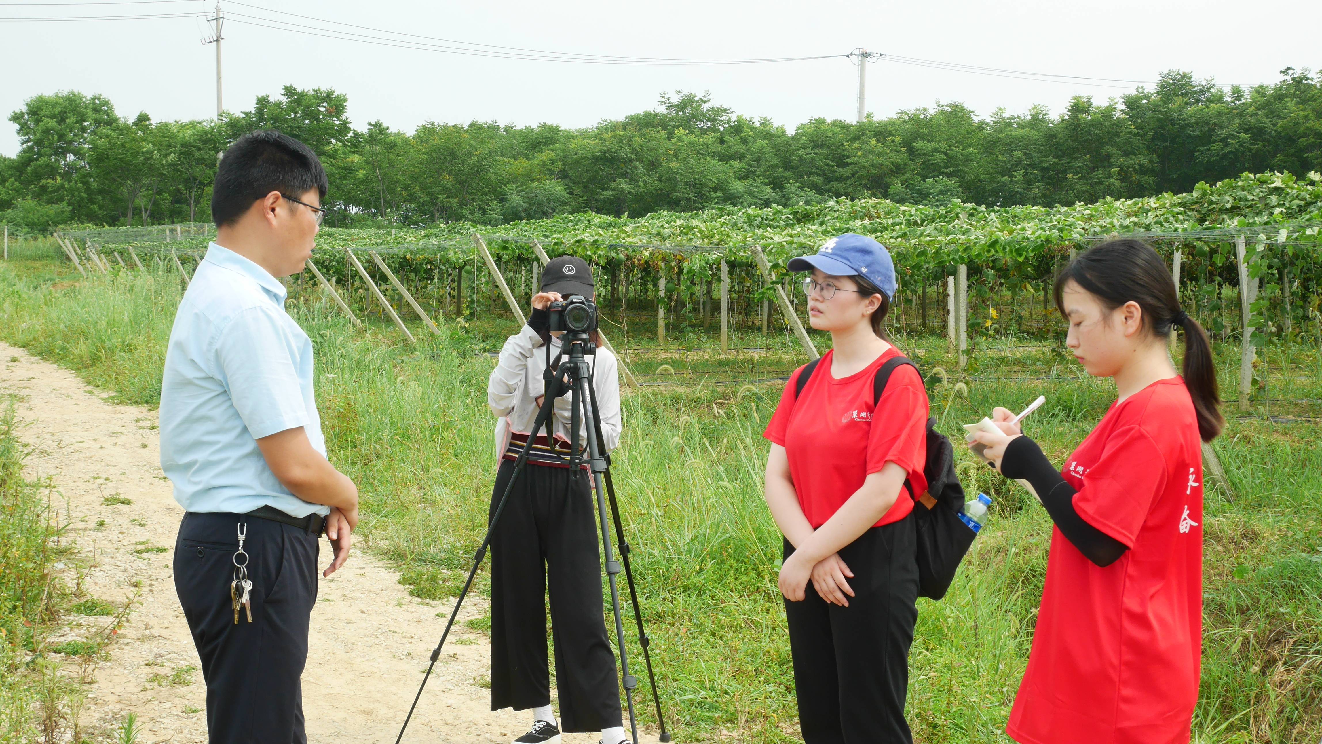 个人三下乡的心得体会,暑期三下乡心得感悟