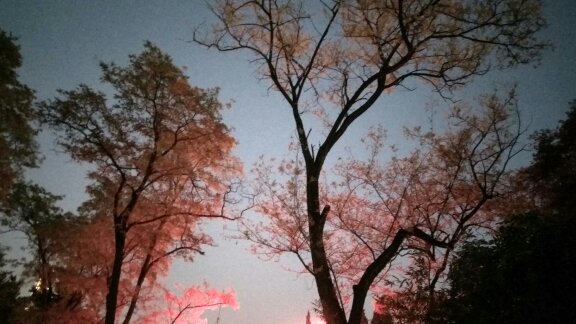 自觉执行岗位职责,职场角色的转折意味着责任和担当