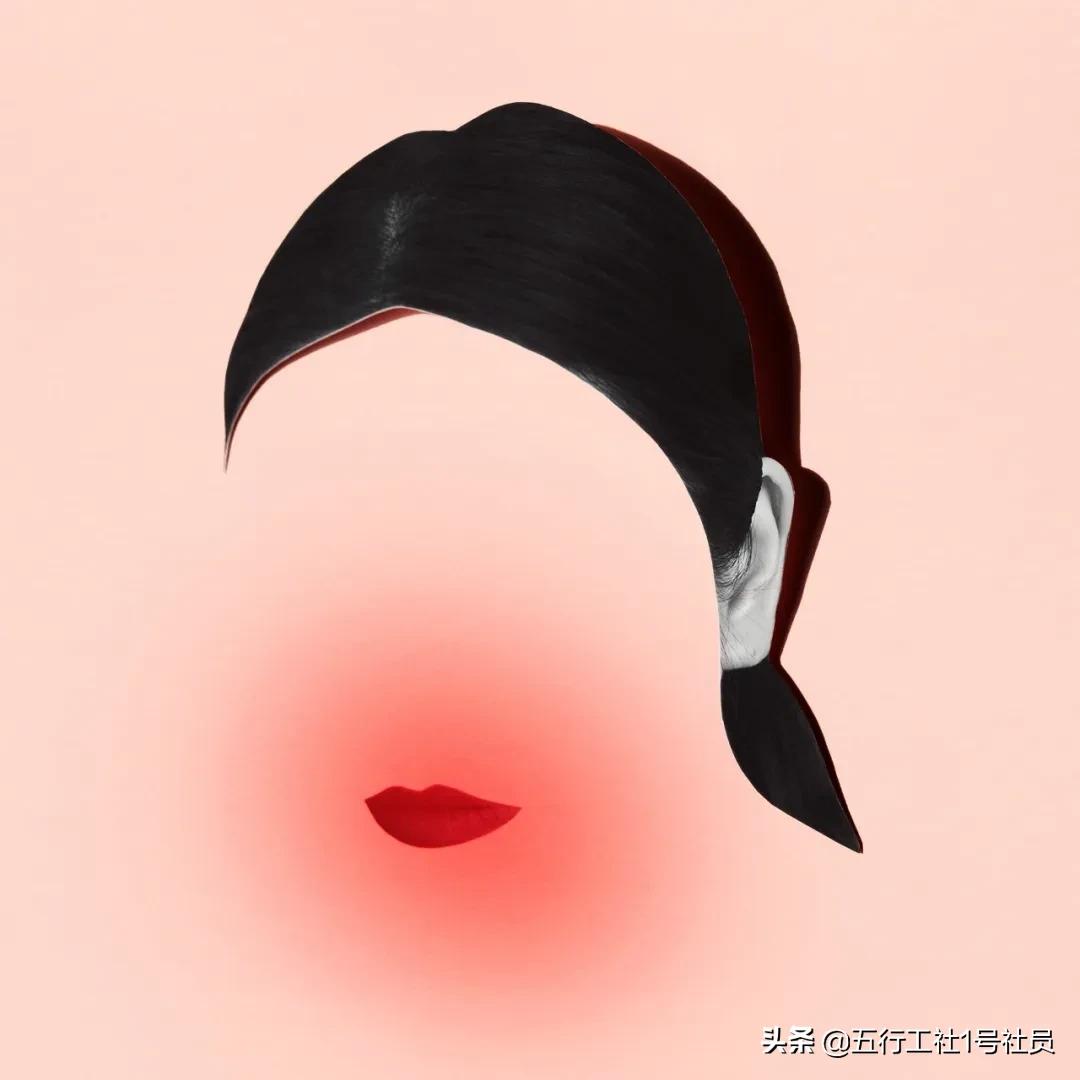 纽约时报年度最佳童书绘本推荐,纽约时报年度最佳图书