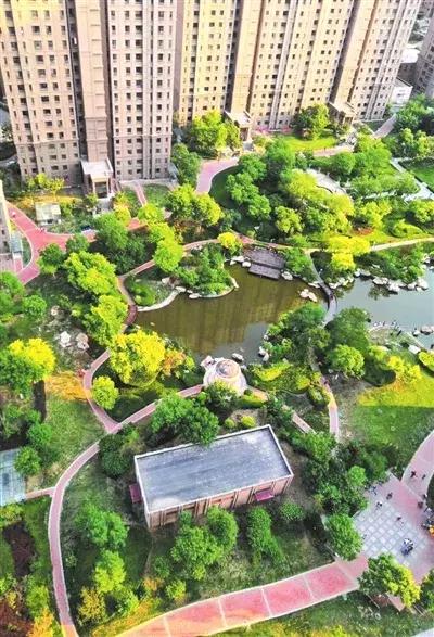 超棒！津南新城社区被评为市级“绿色社区”