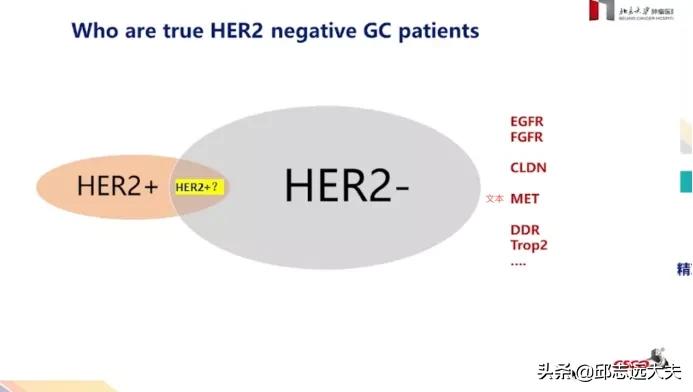 张小田教授：Her-2阴性胃癌分子靶向治疗的新进展