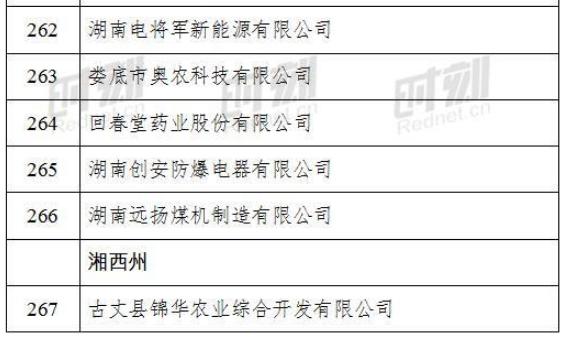 高光时刻：电将军荣获湖南省工信厅“小巨人企业”荣誉称号