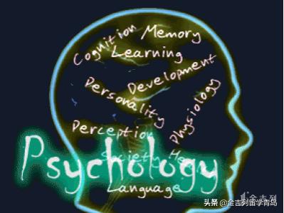 美国留学最喜欢的专业排名,美国留学cs专业哪个最好