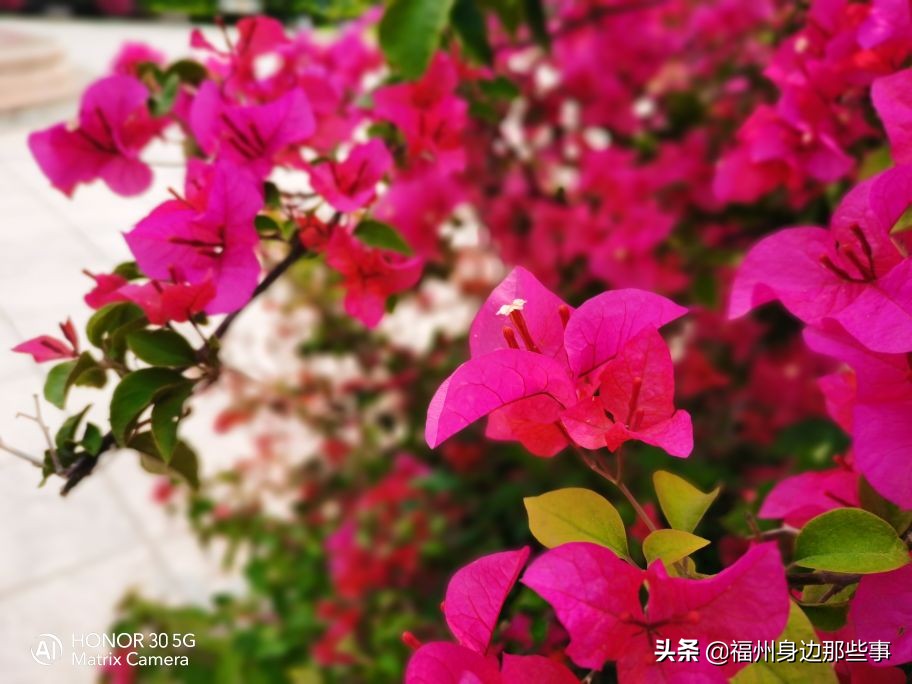 福州露营休闲放松好去处,福州温泉景区