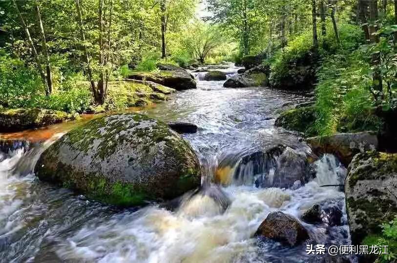 30绉掑甫浣犱簡瑙ｉ粦榫欐睙,甯︿綘浜嗚В榛戦緳姹熷悇涓競