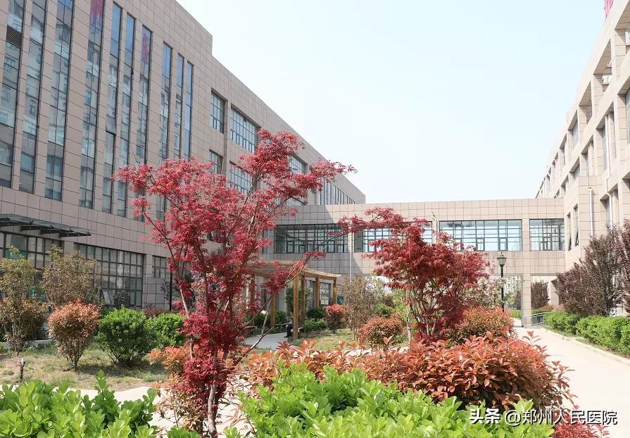 六大亮点，show出郑医南部院区秀外慧中的魅力