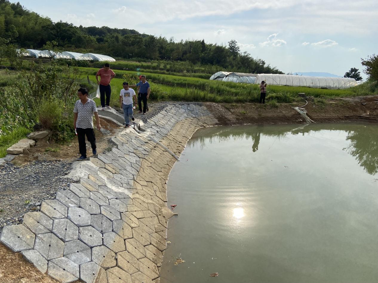 石台：民生工程谱写七井高山辣椒新篇章