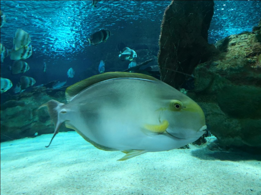 北京工体富国海底世界周一营业,北京工体富国海底世界旅馆