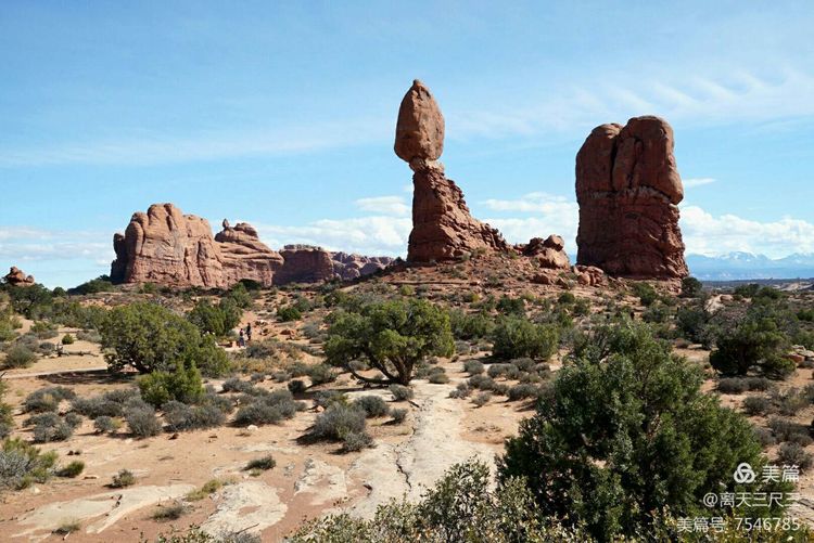 鍖楃編鏋儏闃虫柊,鍖楃編鏋儏鍥剧墖